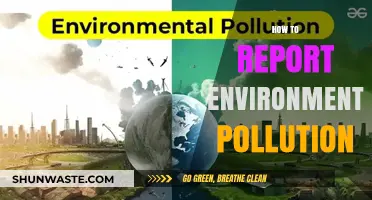 Fight Pollution: Report Environmental Crimes Today