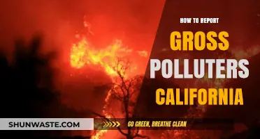 Report Polluters: California's Easy Steps to Take Action