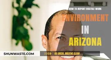 Reporting a Hostile Work Environment in Arizona: Essential Steps and Resources