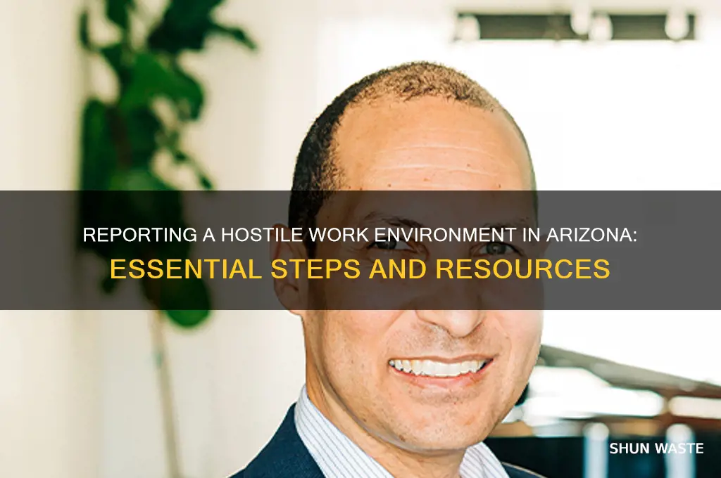 how to report hostile work environment in arizona