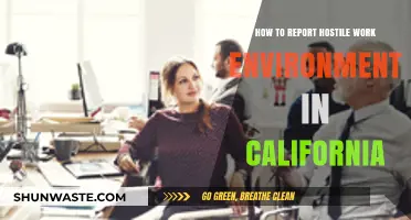 Reporting a Hostile Work Environment in California: A Step-by-Step Guide