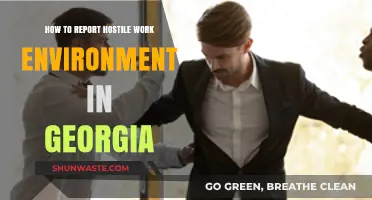 Reporting a Hostile Work Environment in Georgia: Essential Steps and Resources