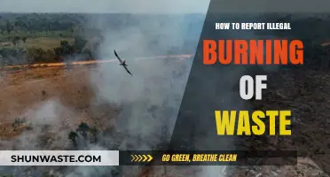 Stop Illegal Waste Burning: A Step-by-Step Reporting Guide