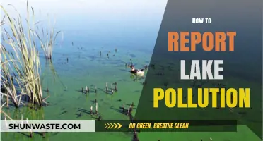 Protect Our Lakes: Report Pollution and Take Action