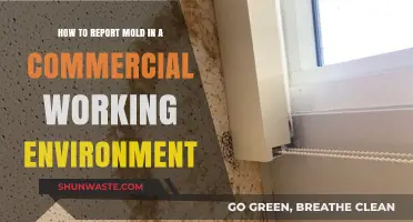 Reporting Mold in Commercial Workplaces: A Step-by-Step Guide for Employees