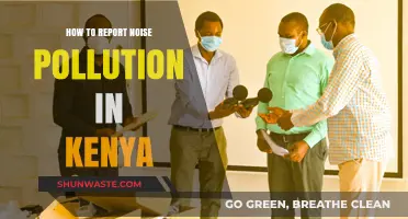 Report Noise Pollution: Kenya's Quick Guide