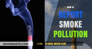 Report Smoke Pollution: Know Your Rights