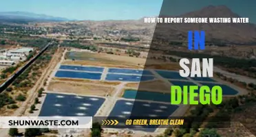 Report Water Waste in San Diego: Steps to Take Action