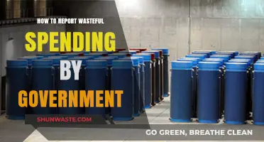 Exposing Government Waste: A Citizen's Guide to Reporting Misspent Funds