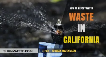 Report Water Waste in California: A Step-by-Step Guide to Conserving Resources