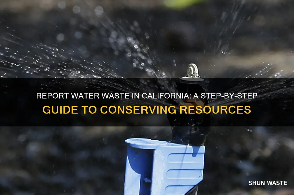 how to report water waste in california