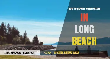 Report Water Waste in Long Beach: A Step-by-Step Guide