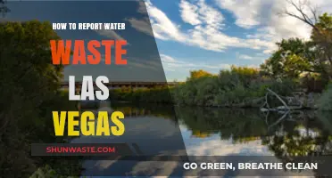 Reporting Water Waste in Las Vegas: A Step-by-Step Guide