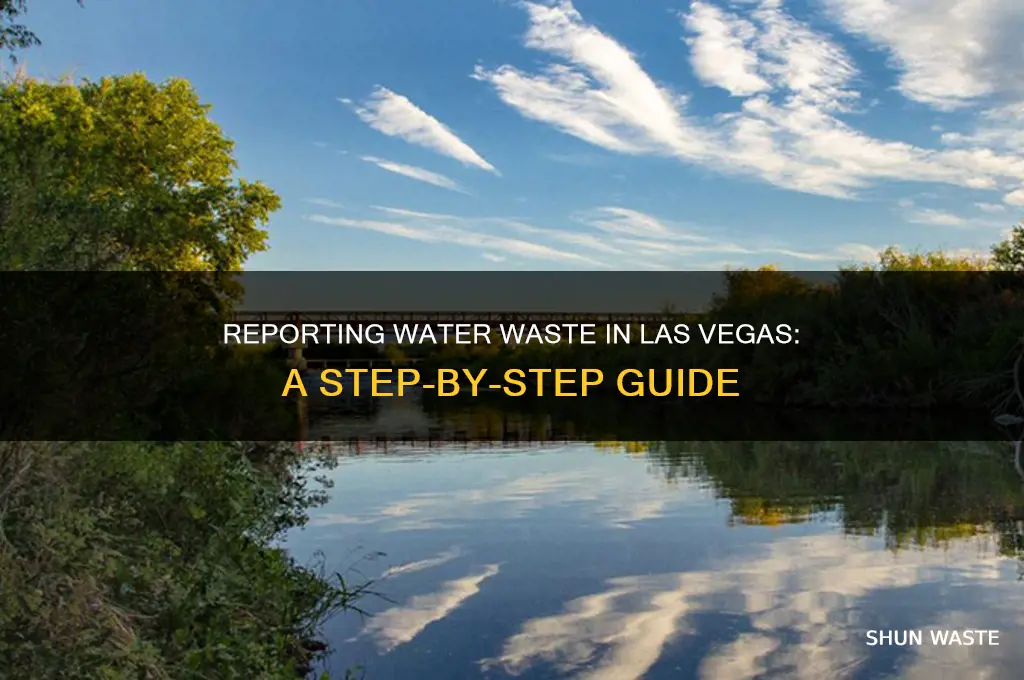 how to report water waste las vegas