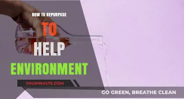 Sustainable Living: Creative Ways to Repurpose and Protect Our Planet