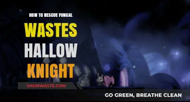 Rescuing Fungal Wastes in Hollow Knight: A Comprehensive Guide