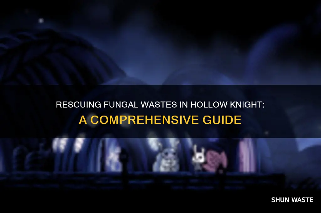 how to rescue fungal wastes hallow knight
