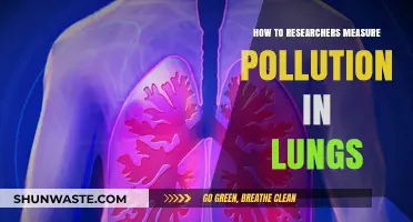 Measuring Pollution in Lungs: Techniques and Insights