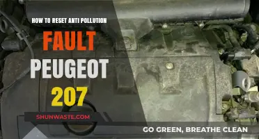 Resetting Anti-Pollution Fault: Peugeot 207 Guide