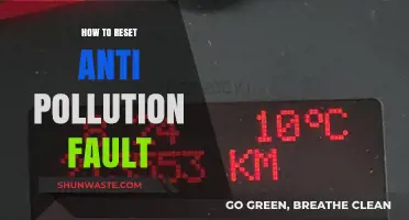 Resetting Anti-Pollution Fault: A Step-by-Step Guide