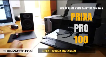 Resetting Canon Pixma Pro 100 Waste Counters: A Step-by-Step Guide