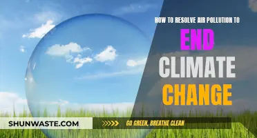 Solving Air Pollution: Key to Slowing Climate Change
