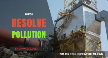 Green Revolution: Tackling Pollution for a Sustainable Future