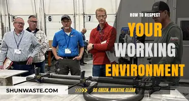 Cultivating Respect: Essential Tips for Honoring Your Workplace Environment