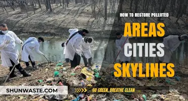 Revitalizing Cities: Restoring Nature, Reclaiming Spaces