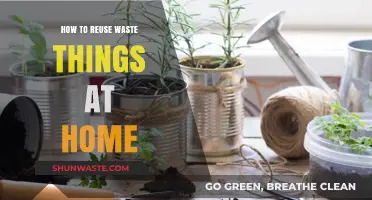 Creative Ways to Transform Household Waste into Useful Treasures