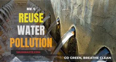 Reclaiming Water: Strategies to Combat Pollution and Reuse