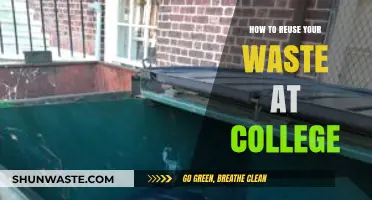 Eco-Friendly College Living: Creative Ways to Reuse Your Waste