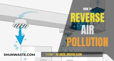 Reversing Air Pollution: Strategies for a Cleaner Tomorrow
