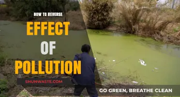 Reversing Pollution: Steps to a Cleaner Future