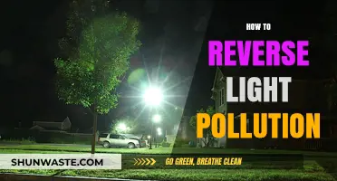 Reversing Light Pollution: Strategies for a Brighter Tomorrow