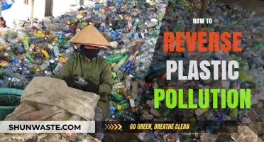 Reversing Plastic Pollution: A Guide to Action