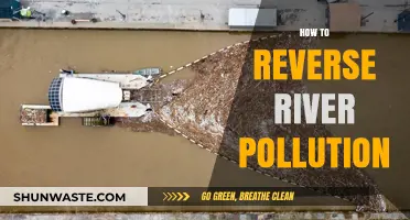 Reversing River Pollution: Strategies for a Sustainable Future