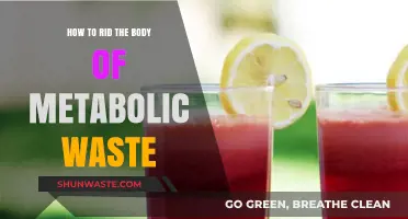Effective Strategies to Detoxify and Eliminate Metabolic Waste Naturally