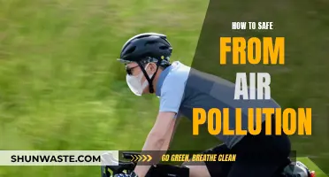Protecting Yourself from Air Pollution: A Guide