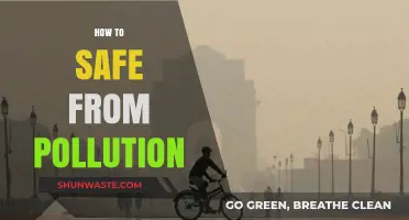 Protecting Yourself from Pollution: A Guide