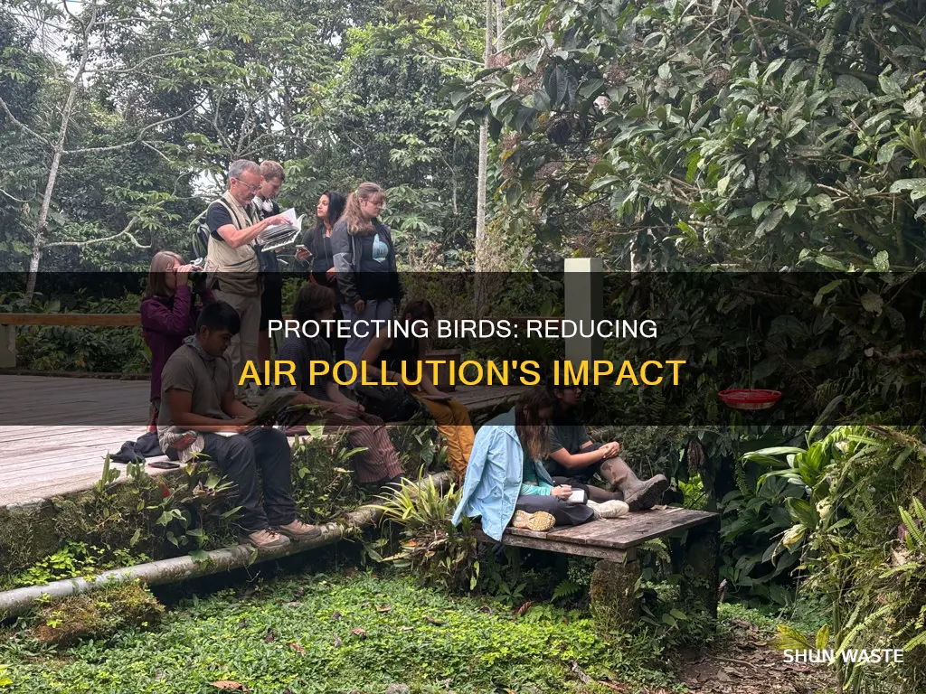 how to save birds from air pollution
