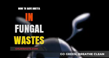 Saving Bretta in Fungal Wastes: Essential Tips and Strategies