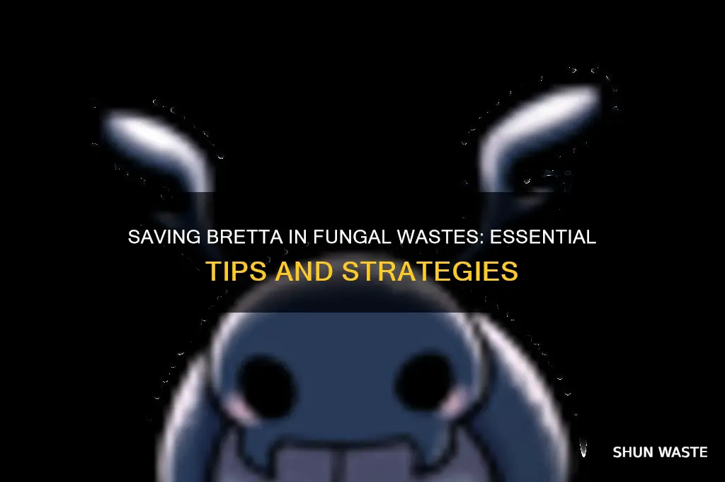 how to save bretta in fungal wastes