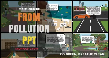 Preserving Our Planet: Pollution Solutions