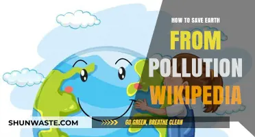 Steps to Save Earth from Pollution
