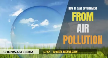 Protecting Our Planet: Reducing Air Pollution's Impact