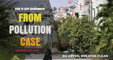 Protecting Nature: Strategies to Combat Pollution