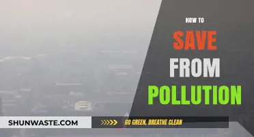 Protecting Ourselves: Pollution Prevention Strategies