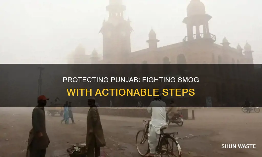 how to save from smog pollution in punjab pakistan