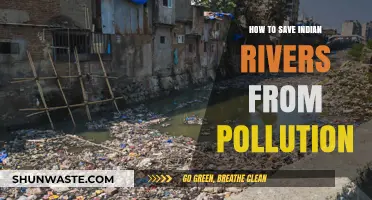Saving India's Rivers: Pollution Prevention Strategies